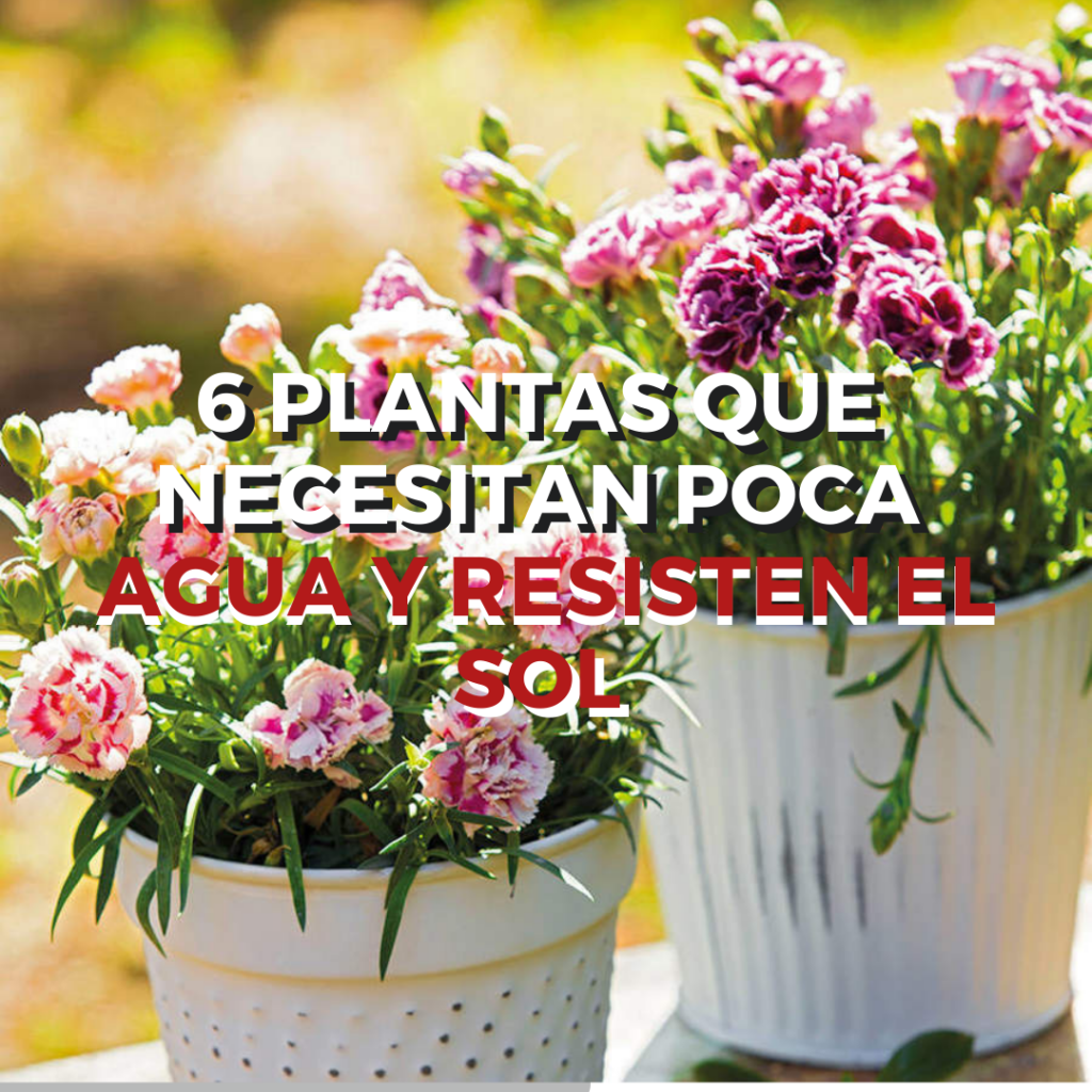 post diario real state inmobiliaria