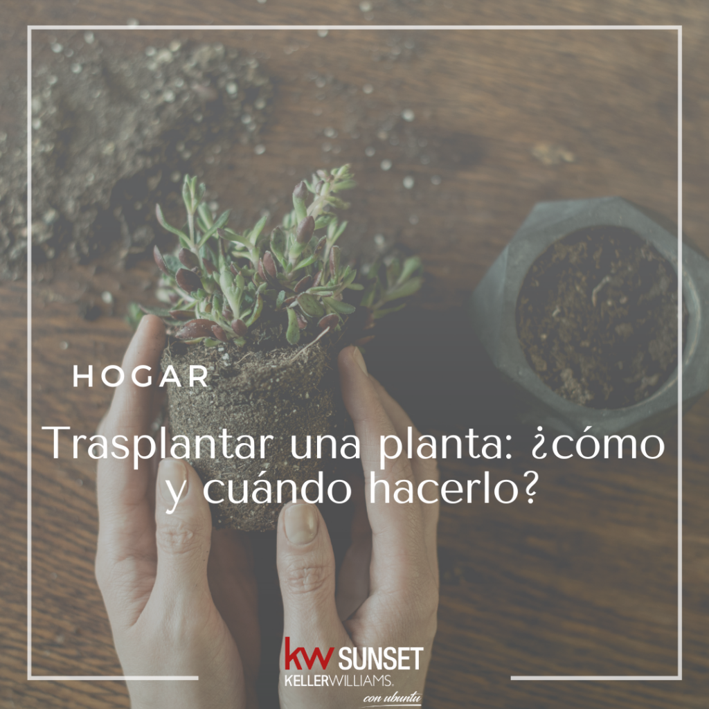 hipoteca, Kw Sunset, Keller Williams, inmobiliaria, tenerife