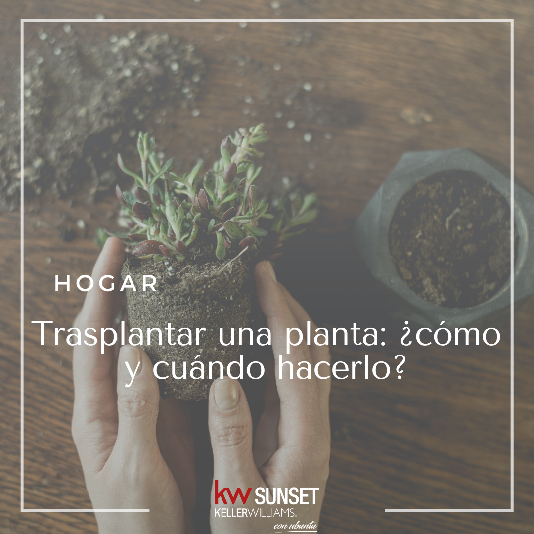 hipoteca, Kw Sunset, Keller Williams, inmobiliaria, tenerife